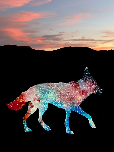Interlopers Installation